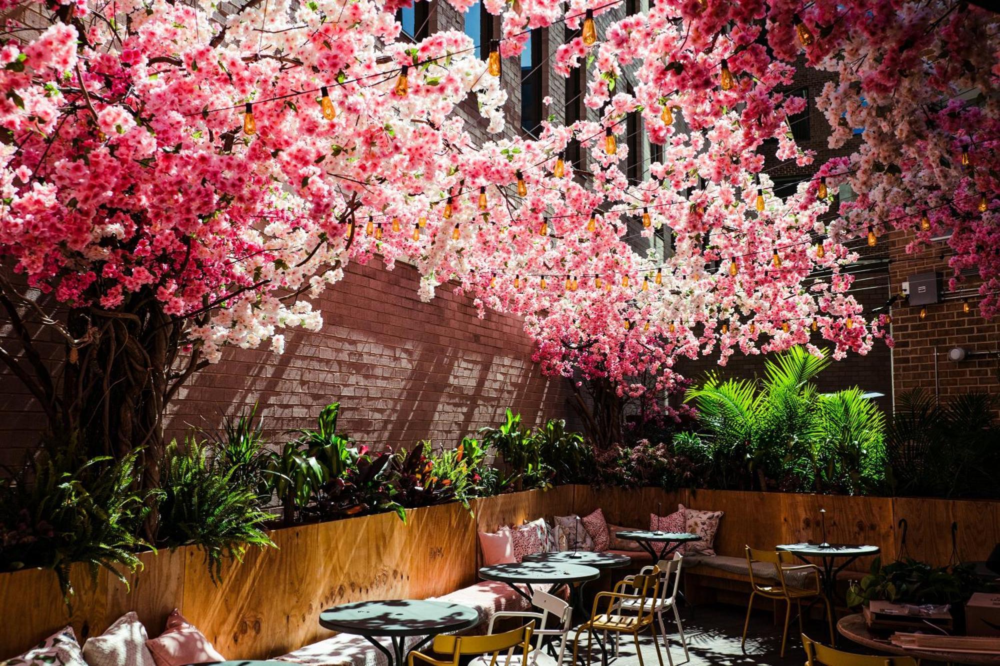 Vignette Collection Yours Truly Dc By Ihg Washington Exteriér fotografie The Sakura Bar